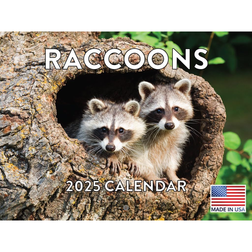 Raccoon Calendar 2025 Monthly Wall Calender 12 Month Oasis Bahamas