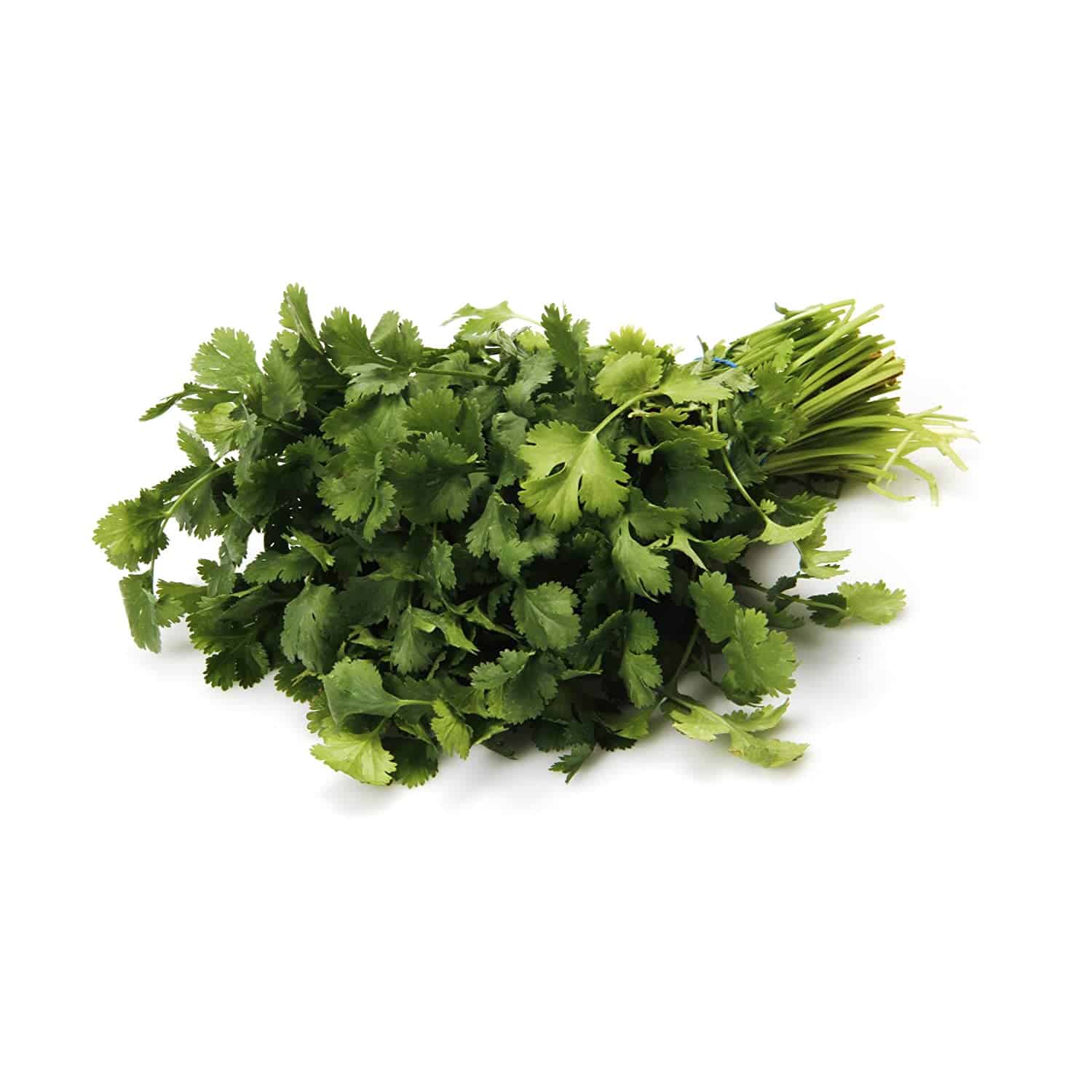 Herb Cilantro Organic, 1 Bunch